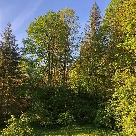 Séjour chez l'habitant Seelenbaumlerin Schliersee