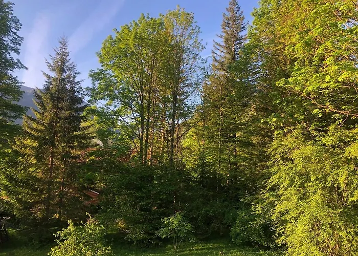 Séjour chez l'habitant Seelenbaumlerin Schliersee